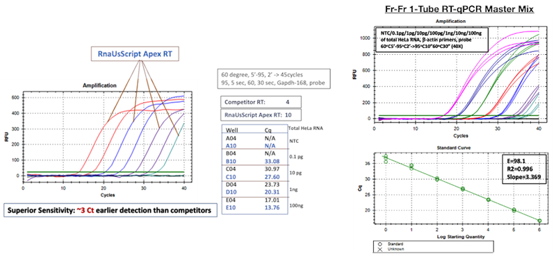 RnaUsScript Apex Reverse Transcriptase 