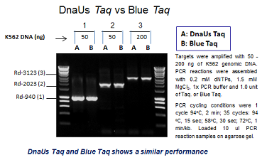 Blue Taq DNA Polymerase Plus (up to 4 kb)