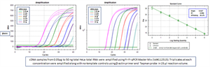 Fr-Fr SG qPCR Master Mix (5X), No ROX, Low ROX, ROX