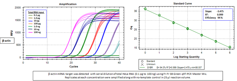 Fr-Fr SG 1-Step qRT-PCR Master Mix (5X), No ROX, Low ROX, ROX