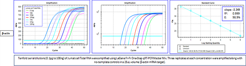 Fr-Fr 1-Step qRT-PCR Master Mix (5X), No ROX, Low ROX, ROX