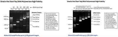 DnaUs Hot Start Taq DNA Polymerase High Fidelity (up to 12 kb)