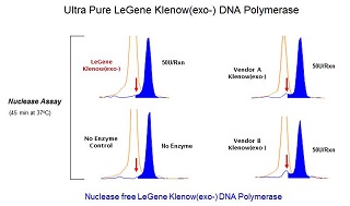 Klenow(exo-) DNA Polymerase