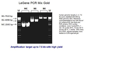 LeGene PCR Mix Gold (up to 8 kb) 