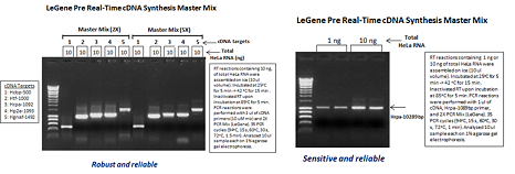 LeGene Pre Real-Time cDNA Synthesis Master Mix (2X or 5X) 