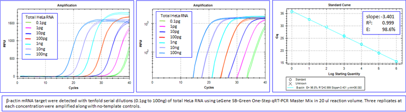 LeGene SG One-Step qRT-PCR Master Mix (2X), No ROX, Low ROX, ROX