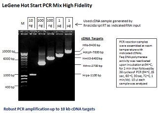 LeGene Hot Start PCR MIx High Fidelity Sky Blue (up to 12 kb)
