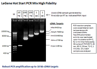 LeGene Hot Start PCR MIx High Fidelity (up to 12 kb)