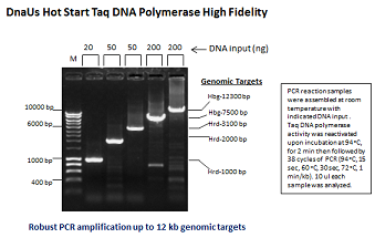 DnaUs Hot Start Taq DNA Polymerase High Fidelity (up to 12 kb)