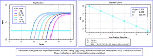 LeGene SG qPCR Master Mix (2X), No ROX, Low ROX, ROX